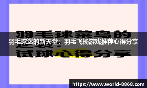 羽毛球迷的新天堂：羽毛飞扬游戏推荐心得分享