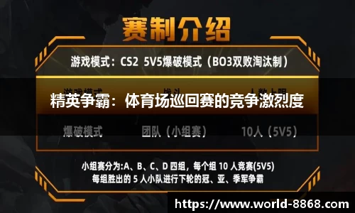 精英争霸：体育场巡回赛的竞争激烈度